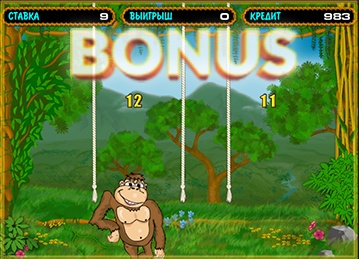 Crazy Monkey games